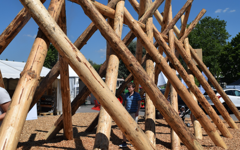 Projets bois de l’Ecole Supérieure Bois de Trèves